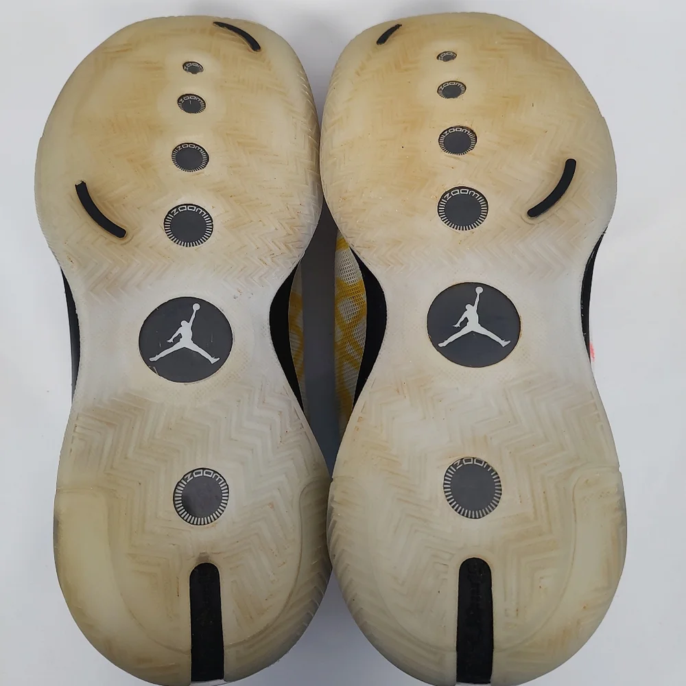 Nike Air Jordan XXXIV Zion Williamson Coloring Book 10 - Picture 7 of 8